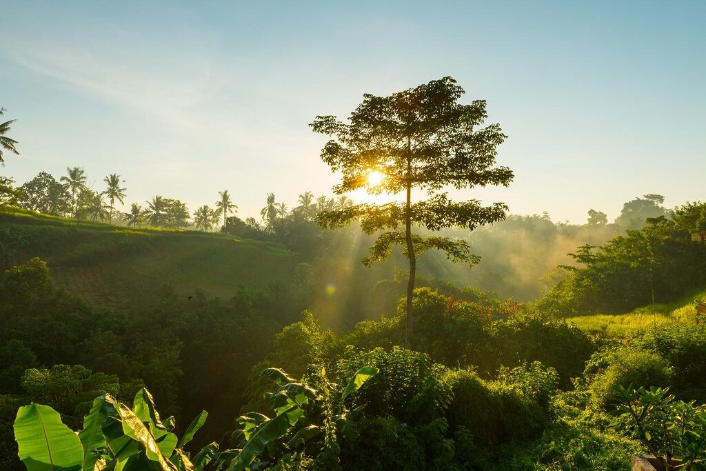 Brindes Ecológicos A Nova Cara do Marketing Sustentável