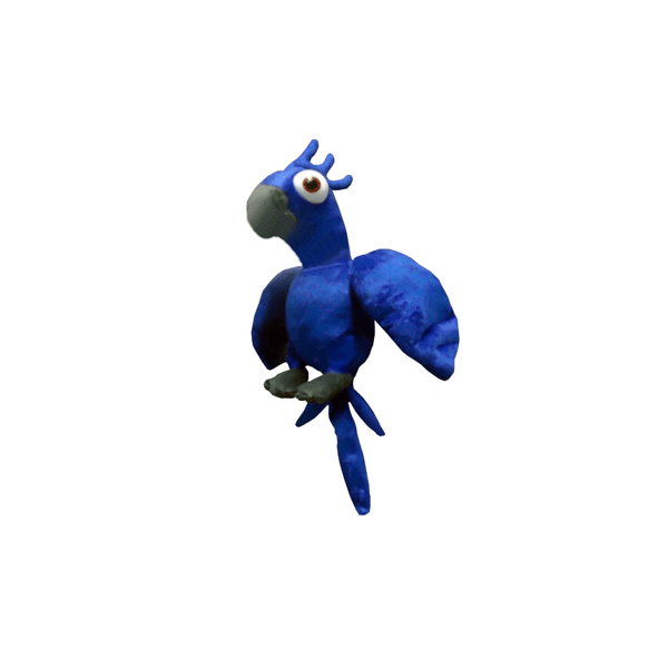 Arara Azul com Flor