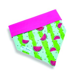 Bandana Para Pets Melância Personalizada