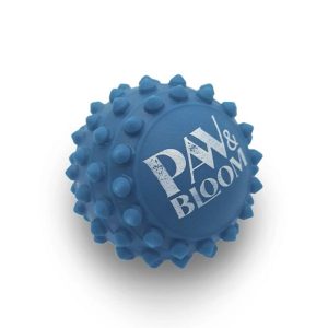 Bolinha pet anti stress