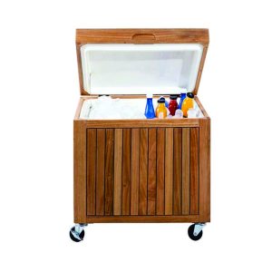 Brinde Carrinho Cooler 75 latas