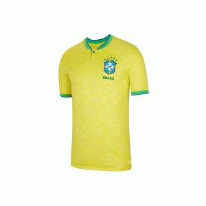 Camiseta Masculina Torcida do Brasil