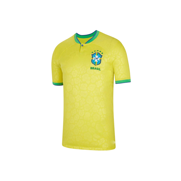 Camiseta Masculina Torcida do Brasil