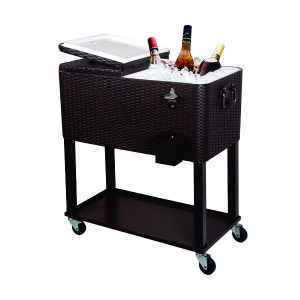 Carrinho Cooler Modelo Garrafa