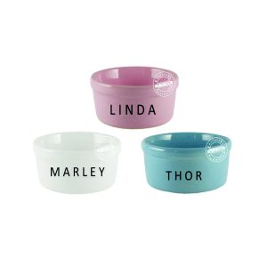 Comedouro Pet Com Nome Brinde