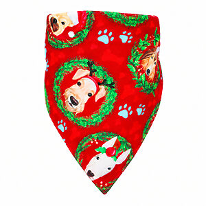 Bandana para Cachorro Disco Micro