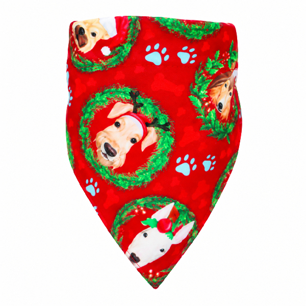 Bandana para Cachorro Disco Micro