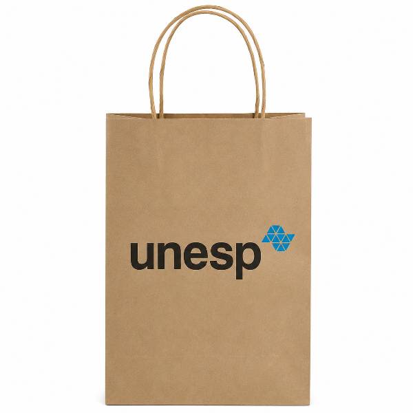 20 Sacolas De Papel Personalizadas Aniversário Média