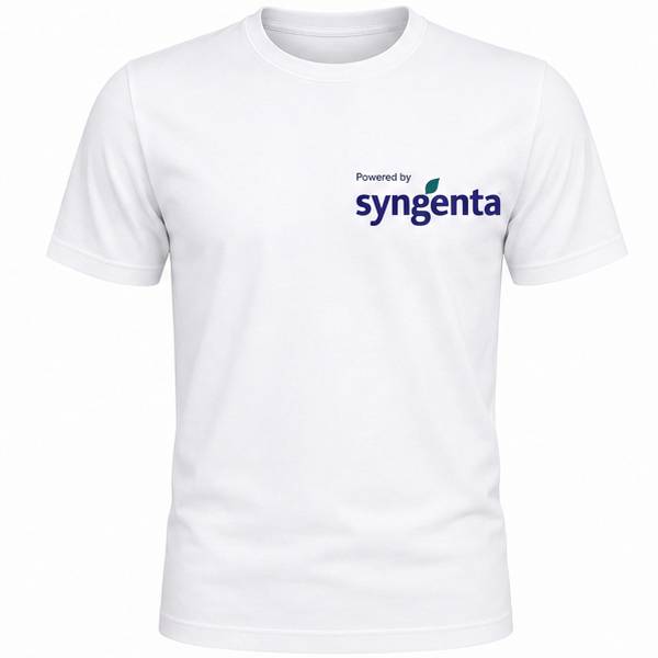 Camisetas Estampadas Personalizadas Brinde