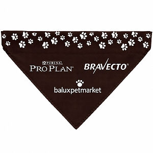 Bandana Triangular Personalizada