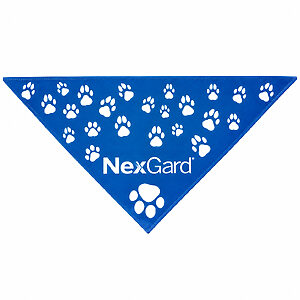 Bandana Personalizada Preço