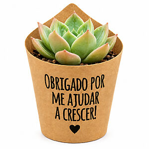 Mini Suculenta com Rótulo Personalizado