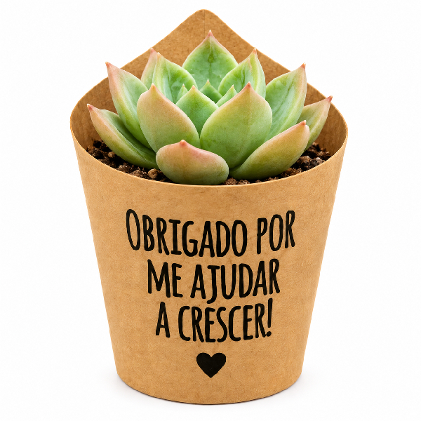 Mini Suculenta com Rótulo Personalizado
