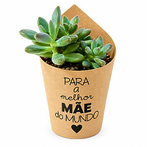 Vaso Autoirrigável P Personalizado Para Dia das Mães