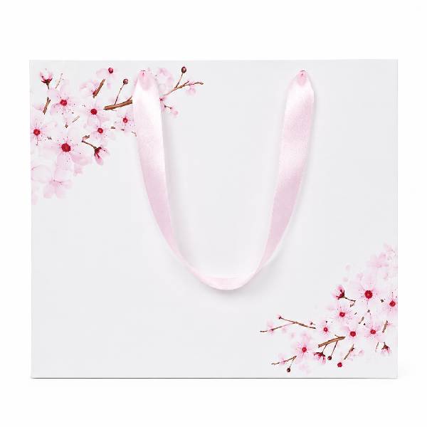 Sacolas De Papel Personalizadas Para Lojas E Eventos