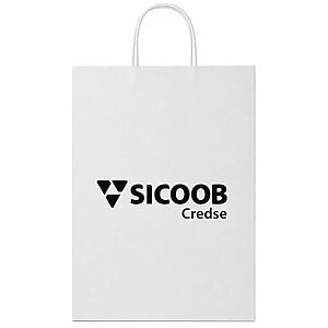 Sacola De Papel Personalizada Kit Loja 100 unidades