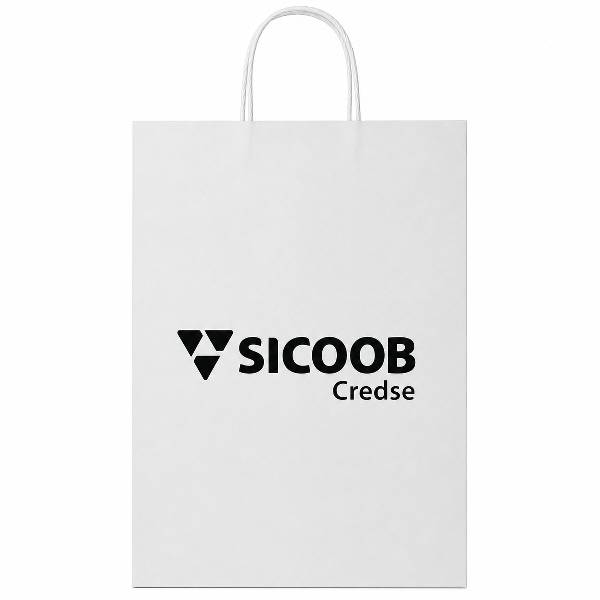Sacola De Papel Personalizada Kit Loja 100 unidades
