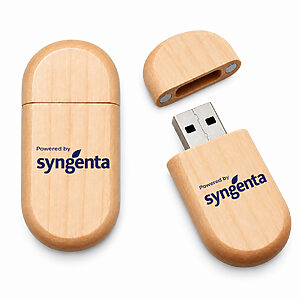 Pen Drive Bambu Oval