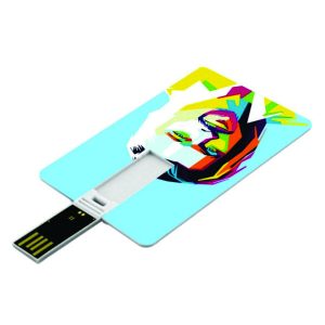 Pen Card Personalizado Dia do Publicitário