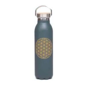 Squeeze Inox 700ml