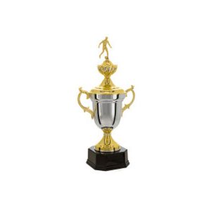Troféu Personalizado Atacado