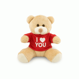 Ursinho de Pelúcia Love Personalizado