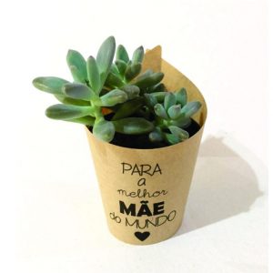Vaso Autoirrigável P Personalizado Para Dia das Mães