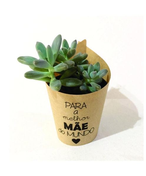 Vaso Autoirrigável P Personalizado Para Dia das Mães