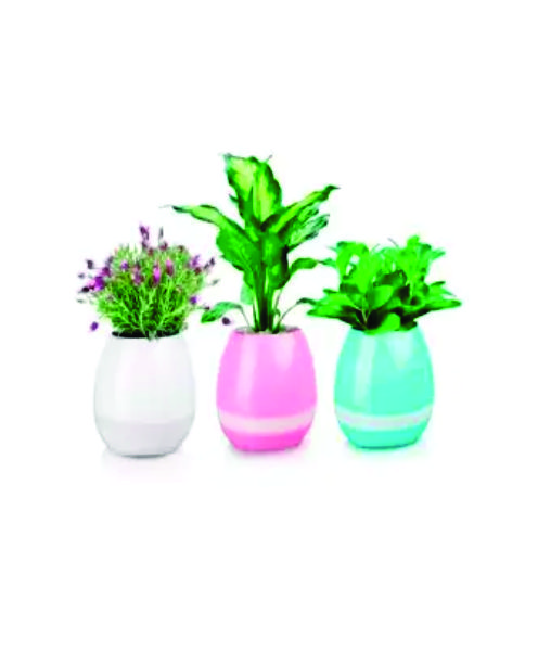 Vaso de Planta Musical com Bluetooth Personalizada