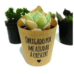 Mini Suculenta com Rótulo Personalizado