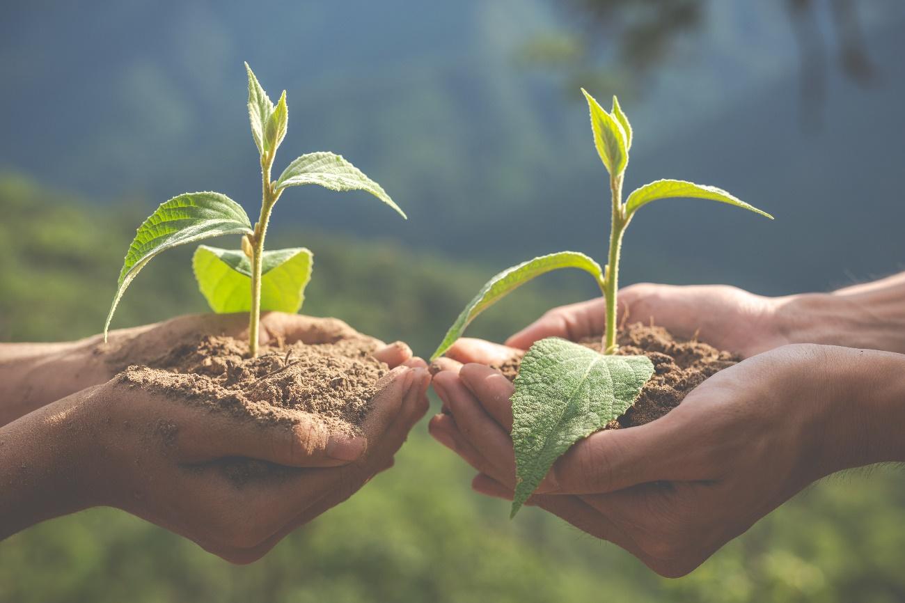 Brindes Ecológicos: A Nova Cara do Marketing Sustentável